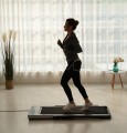 HouseFit E-M100 Walker