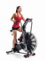 Schwinn Airdyne AD8