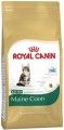 Royal Canin Maine Coon Kitten 2 кг