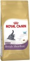 Royal Canin British Shorthair Kitten 2 кг