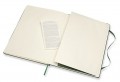 Moleskine Ruled Notebook Extra Large Green
