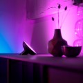 Philips Hue Bloom