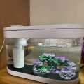 Xiaomi Geometry Ecosystem Fish Tank