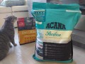 ACANA Pacifica Cat and Kitten 4.5 kg