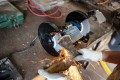 Scheppach SM200L