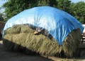 Bradas Tent 50 g/m² 8x12m