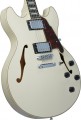DAngelico Premier DC