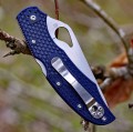 Spyderco Byrd Cara Cara 2 FRN