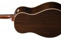 Ibanez AAM780E
