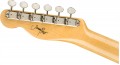 Fender Jimmy Page Mirror Telecaster