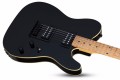 Schecter PT