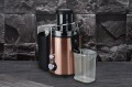 Berlinger Haus Rose Gold BH-9459