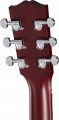 Gibson L-00 Special
