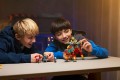 Lego Mateos Fire Chameleon 71492