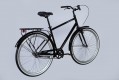 Dorozhnik Comfort Male 28 2025