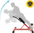 4FIZJO Roman Training Bench