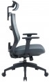 OfficePro Balance OC550