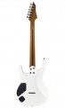 Mooer MMT100