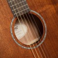 Cort Earth 60MCE