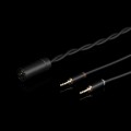 Final Audio Design DX6000