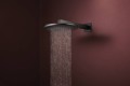 Hansgrohe Raindance Alive S 300 EcoSmart 24541000