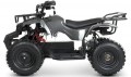 Profi HB-ATV 1000AS