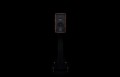 Sonus Faber Olympica I