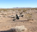 Parrot AR.Drone 2.0