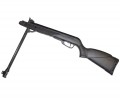 Gamo Black Bear