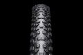 Schwalbe Hans Dampf Performance Folding
