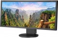 NEC EA295WMi