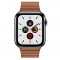 Apple Watch 5 Steel