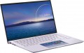 Asus ZenBook 14 UX435EG