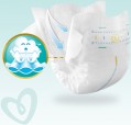 Pampers Premium Care 1