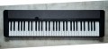 Casio Casiotone CT-S1