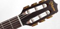 Takamine P3FCN