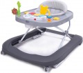 4BABY Walkn Push