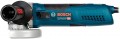 Bosch GWS 17-125 CIE Professional 060179H002