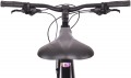 MBM Maxilux 29 2022