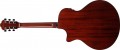 Ibanez AE410