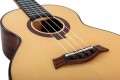 Flight A10 SC Cocobolo Dragon 10th Anniversary Tenor Ukulele