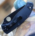 Spyderco Tenacious FRN Combination Edge