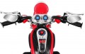 Ramiz NightBike