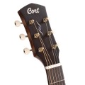 Cort Core-PE Mahogany
