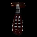 Godin ACS Nylon KOA Extreme HG