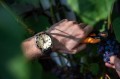 Vostok Europe Rocket N1 NH34-225A713