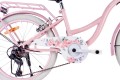 Sun Baby Flower Bike 20