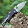 Spyderco Bodacious