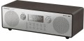 Panasonic RF-D100BTEGT
