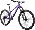 GT Zaskar LT Comp 2025 frame S